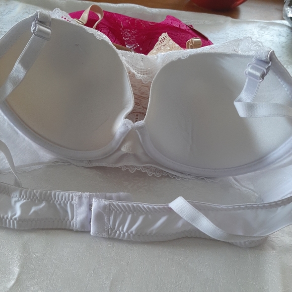Ladies Bras - Picture 4 of 8